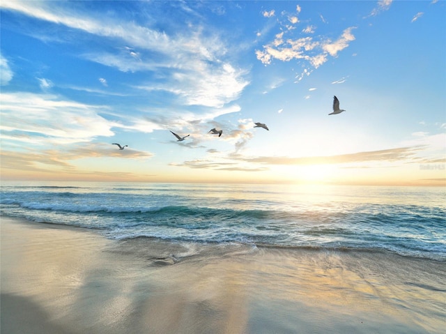 water view featuring a beach view