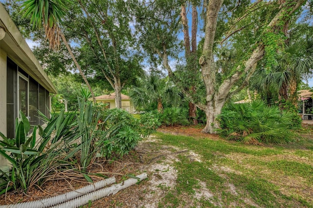 view of yard with a sunroom