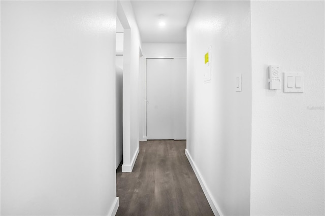 hallway featuring dark hardwood / wood-style flooring