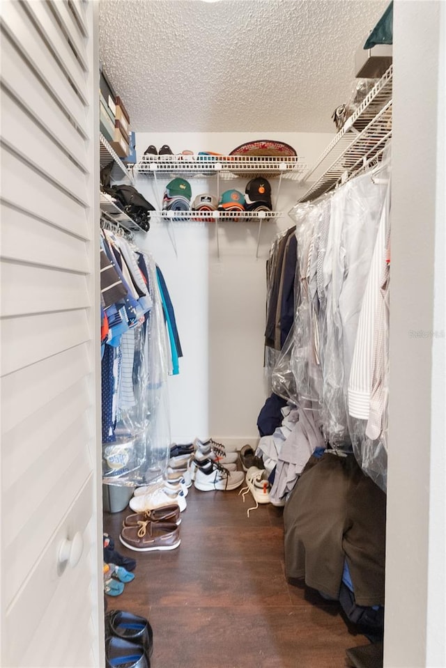 spacious closet with hardwood / wood-style flooring