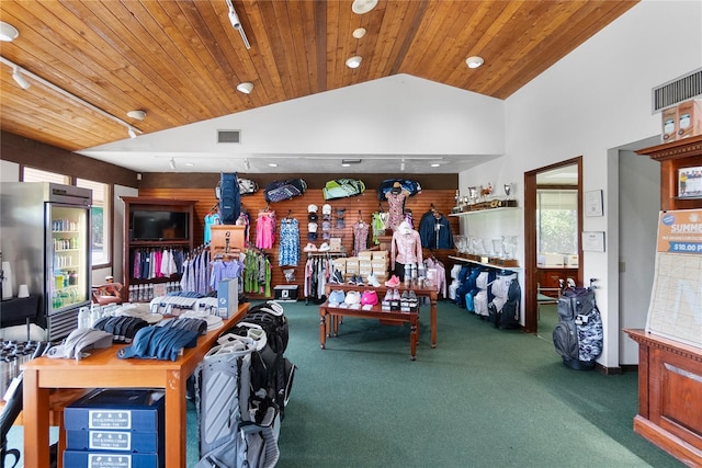 interior space featuring wood ceiling, carpet flooring, and a wealth of natural light