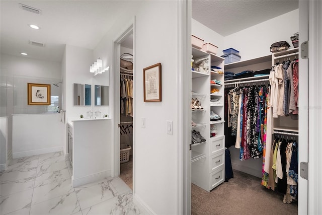 spacious closet with light carpet