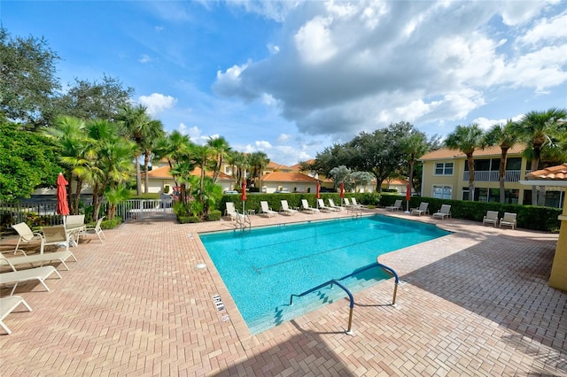 view of pool featuring a patio area