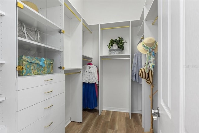 walk in closet with hardwood / wood-style flooring