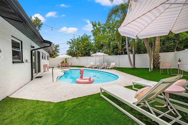 view of pool featuring a patio and a yard