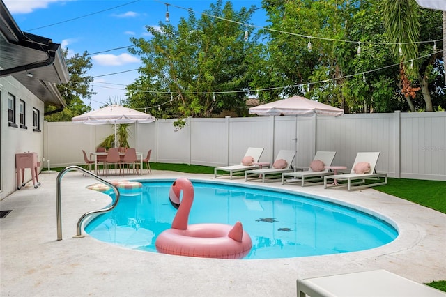 view of pool featuring a patio