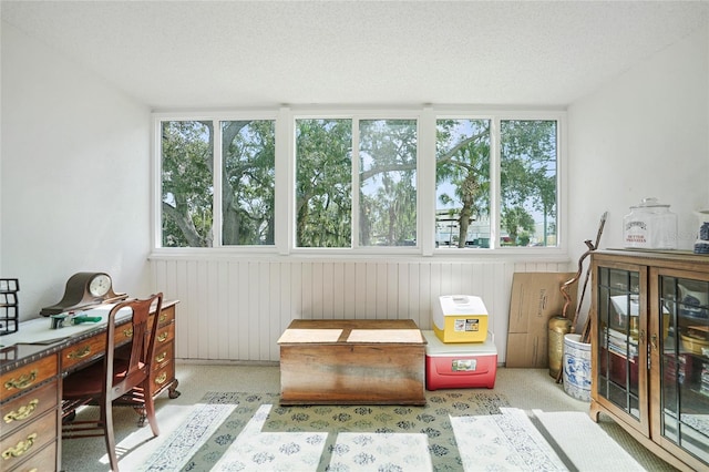 interior space featuring light carpet, a textured ceiling, and a healthy amount of sunlight