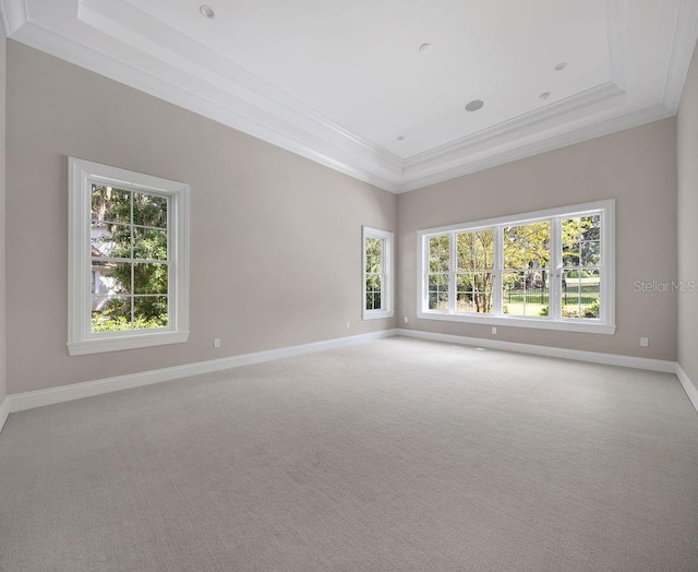 carpeted empty room featuring a raised ceiling and ornamental molding