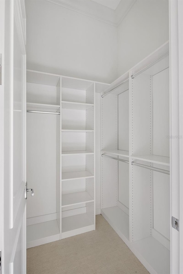 spacious closet featuring light colored carpet