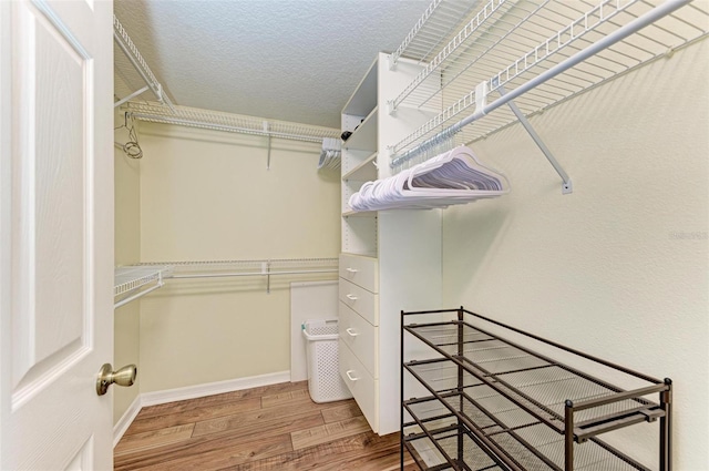 spacious closet with wood-type flooring