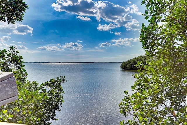 property view of water