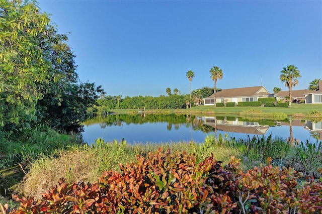 water view