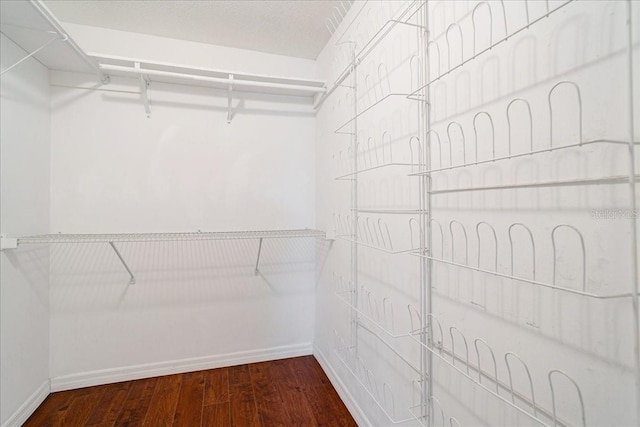 walk in closet featuring hardwood / wood-style flooring