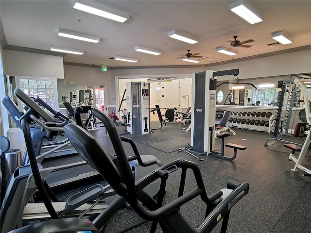 workout area featuring ceiling fan and crown molding