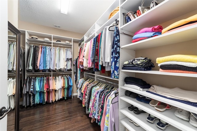 spacious closet featuring dark wood-type flooring