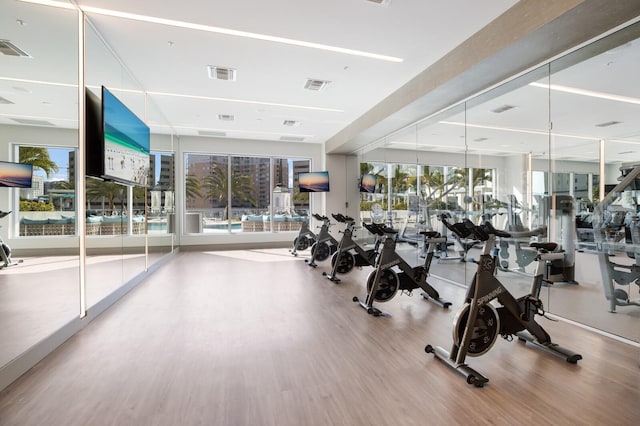 exercise room featuring light hardwood / wood-style floors