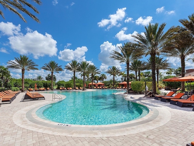 view of pool featuring a patio area