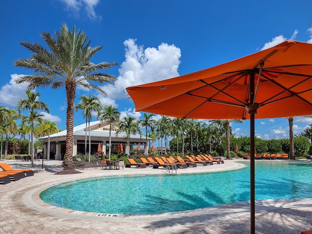 view of pool featuring a patio area