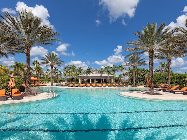 view of swimming pool featuring a patio area