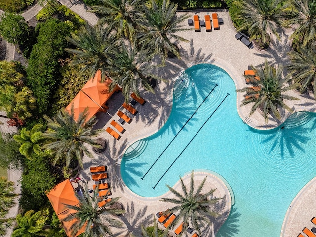 view of pool with a patio area