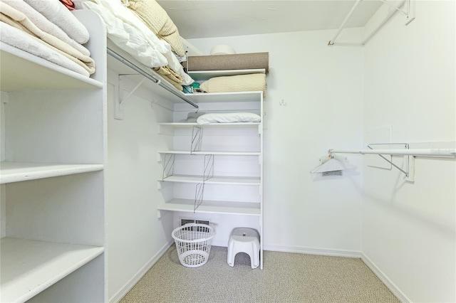 spacious closet featuring light colored carpet