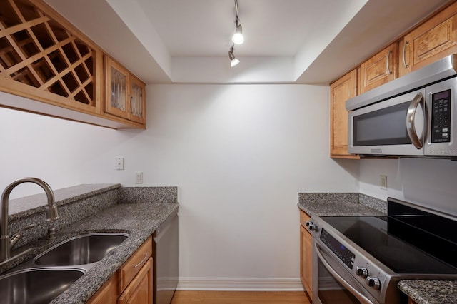 kitchen with sink, rail lighting, a tray ceiling, stainless steel appliances, and light wood-type flooring