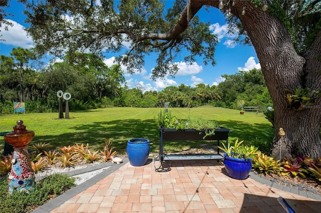 surrounding community featuring a lawn and a patio