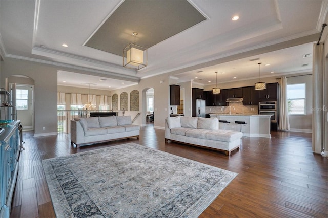 living room featuring a tray ceiling, dark hardwood / wood-style flooring, and a healthy amount of sunlight