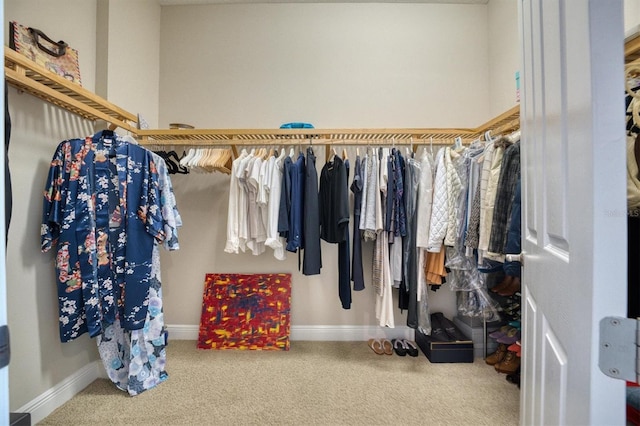 spacious closet featuring carpet floors