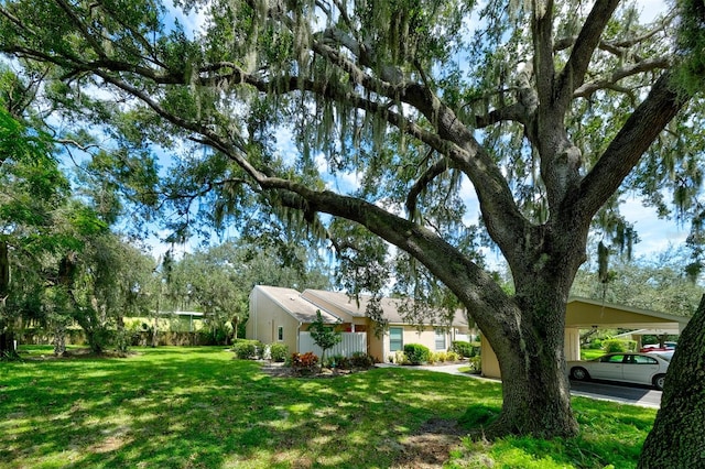 view of yard featuring a carport