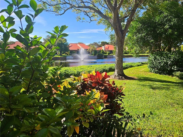 view of community featuring a lawn and a water view