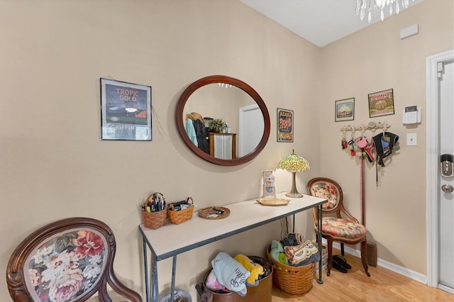 bathroom with hardwood / wood-style flooring