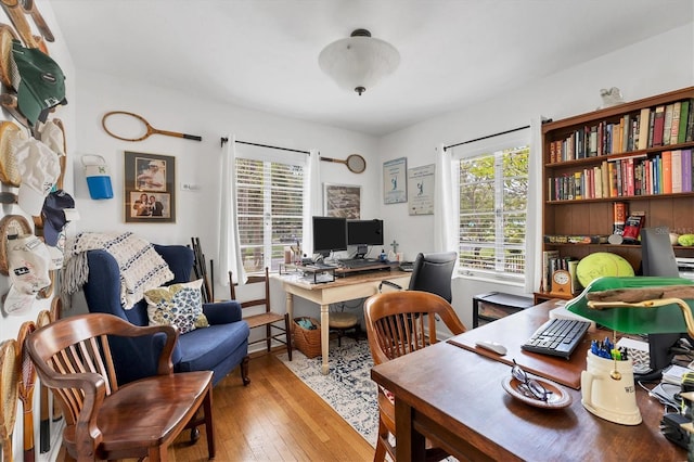 office area featuring hardwood / wood-style floors