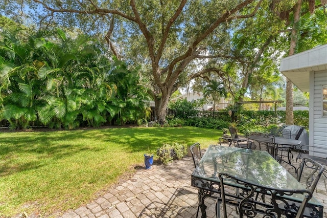 view of yard featuring a patio