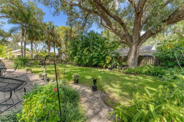 view of yard with a patio