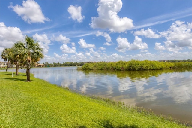 property view of water