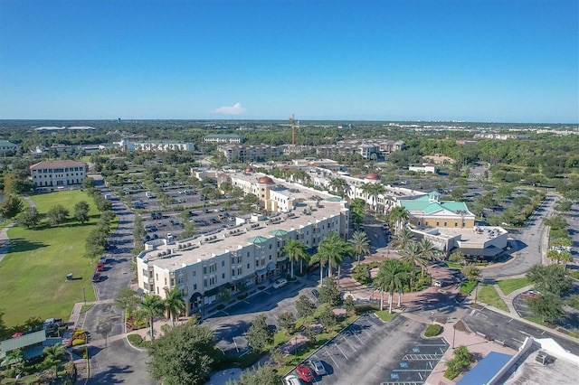 bird's eye view