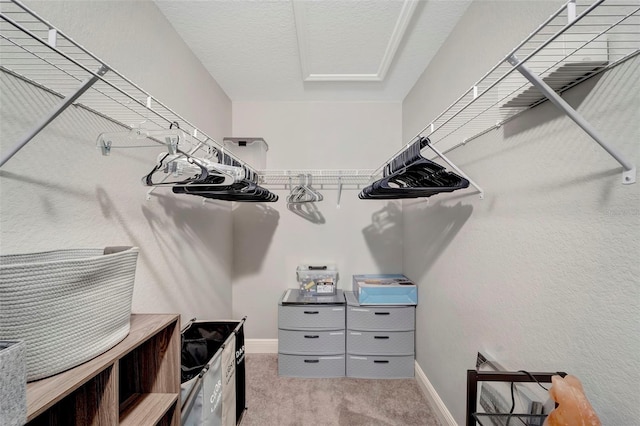 spacious closet featuring light carpet