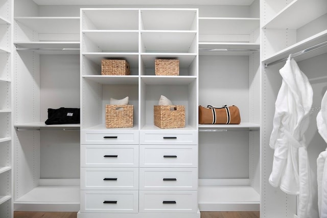 walk in closet with wood-type flooring