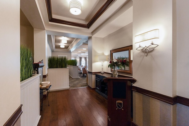 hall featuring a tray ceiling, dark hardwood / wood-style flooring, and ornamental molding