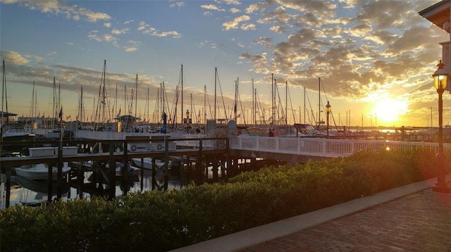 dock area featuring a water view