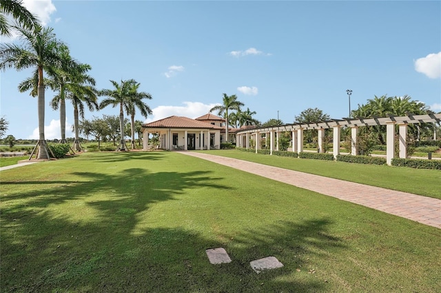 view of community with a yard