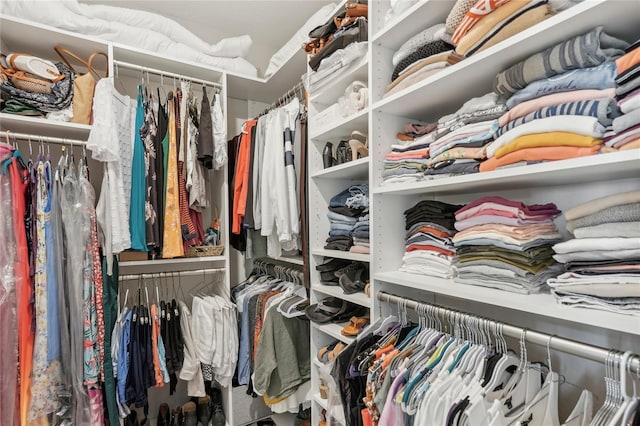 view of spacious closet