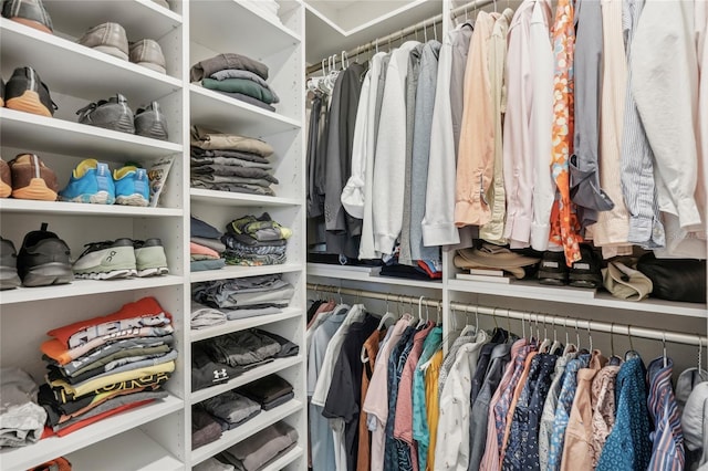 view of spacious closet