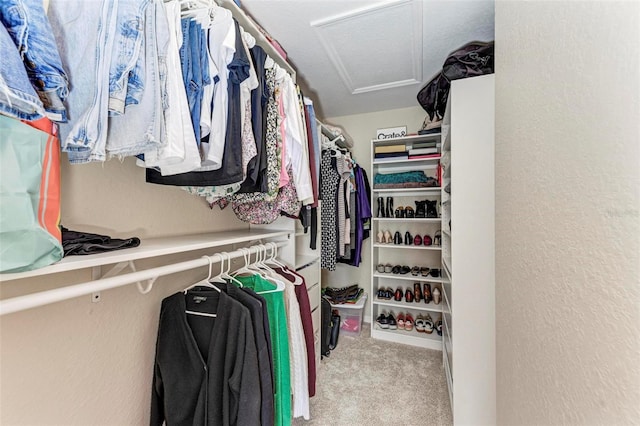 spacious closet featuring attic access and carpet