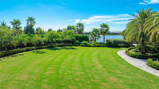 view of yard featuring a water view