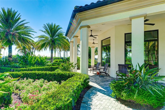 view of patio with ceiling fan