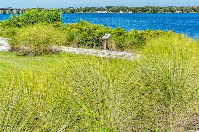 property view of water