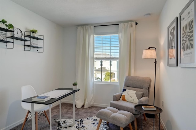 carpeted home office featuring plenty of natural light