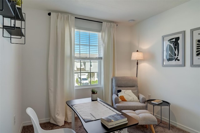 sitting room with carpet flooring